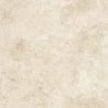 Dalle extérieur effet pierre Pomezia 2.0 beige R11 60x60 cm