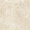 Dalle extérieur effet pierre Pomezia 2.0 beige R11 60x60 cm
