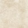 Dalle extérieur effet pierre Pomezia 2.0 beige R11 60x60 cm