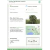 1 arbre planté avec Reforest'Action