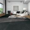 Carrelage sol effet pierre Prodige black 60120 cm