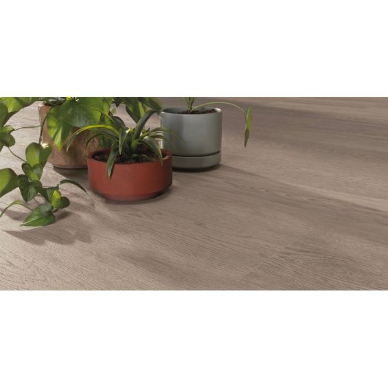 Carrelage sol imitation parquet Forest chêne 20x120 cm