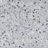 Carrelage sol effet terrazzo Triveneto bleu jean 60x60 cm