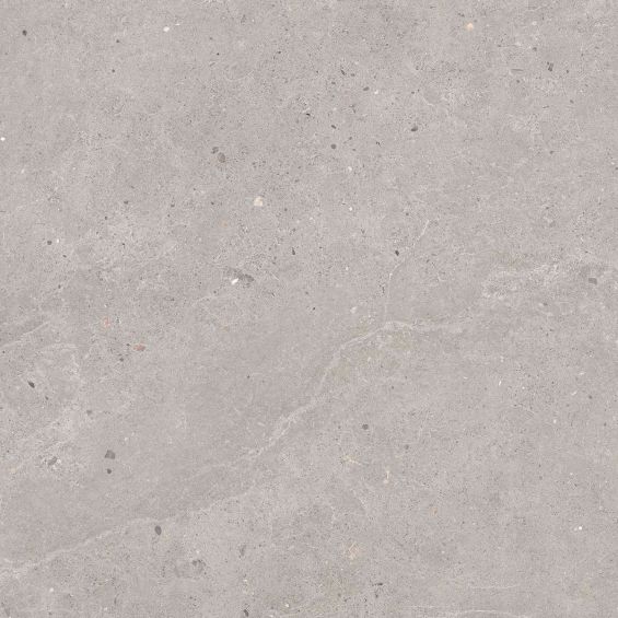 Carrelage sol extérieur effet pierre Kiyosumi Gris R11 60x60 cm