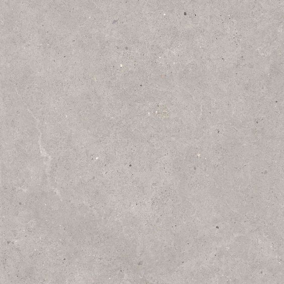 Carrelage sol extérieur effet pierre Kiyosumi Gris R11 60x60 cm