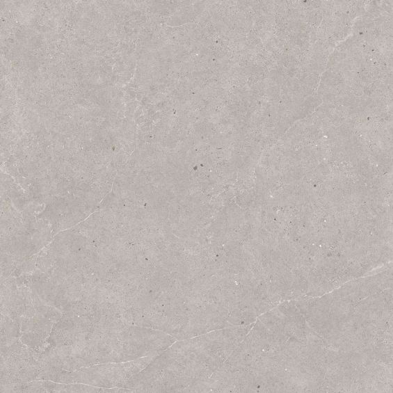 Carrelage sol extérieur effet pierre Kiyosumi Gris R11 100x100 cm