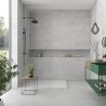 Carrelage mur Max silver 30x60 cm