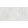 Carrelage mur Max silver 30x60 cm