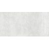 Carrelage mur Max silver 30x60 cm