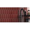 Carrelage mur effet Fleur Strelitzia rouge 8,1x25 cm