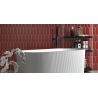 Carrelage mur effet Fleur Strelitzia rouge 8,1x25 cm