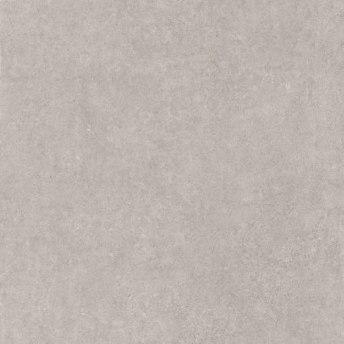 Dalle extérieur Back 2.0 Gris argent R11 60x60 cm