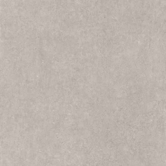 Dalle extérieur Back 2.0 Gris argent R11 60x60 cm