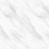 Dalles PVC 6mm à clipser Tiles marbre blanc 60x120 cm
