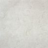 Carrelage sol effet pierre Zadargris 100100 cm