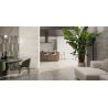 Carrelage sol et mur effet métal Atonium Idol 60120 cm