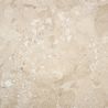 Carrelage effet Terrazzo Torcello beige 100x100 cm