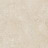 Carrelage sol extérieur effet pierre Travertin TravertiNova clair 60x60 cm R11