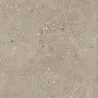 Carrelage effet Terrazzo Venetian taupe 90x90 cm