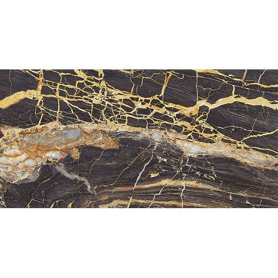 Carrelage sol poli effet marbre Black gold 120x260 cm