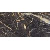 Carrelage sol poli effet marbre Black gold 60120 cm