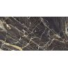 Carrelage sol poli effet marbre Black gold 60120 cm
