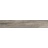 Carrelage sol extérieur effet bois Océan Cenere R11 20x120 cm