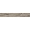 Carrelage sol extérieur effet bois Océan Cenere R11 20x120 cm