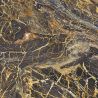 Carrelage sol poli effet marbre Black gold 6060 cm