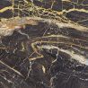 Carrelage sol poli effet marbre Black gold 6060 cm