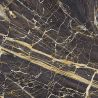 Carrelage sol poli effet marbre Black gold 120x120 cm