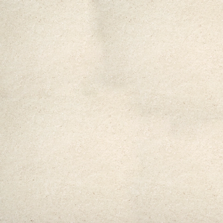 Dalle extérieur Dylan mink R11 6060 cm