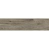 Dalle extérieur effet boisSuar 2.0 Timber R11 38,5x118,5 cm