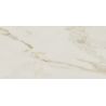 Carrelage sol extérieur effet pierre Lumina marbreR10 60x120 cm