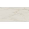 Carrelage sol extérieur effet pierre Lumina marbreR10 60x120 cm