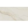 Carrelage sol extérieur effet pierre Lumina marbreR10 60x120 cm