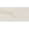 Carrelage sol extérieur effet pierre Lumina marbreR10 60x120 cm