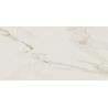 Carrelage sol extérieur effet pierre Lumina marbreR10 60x120 cm