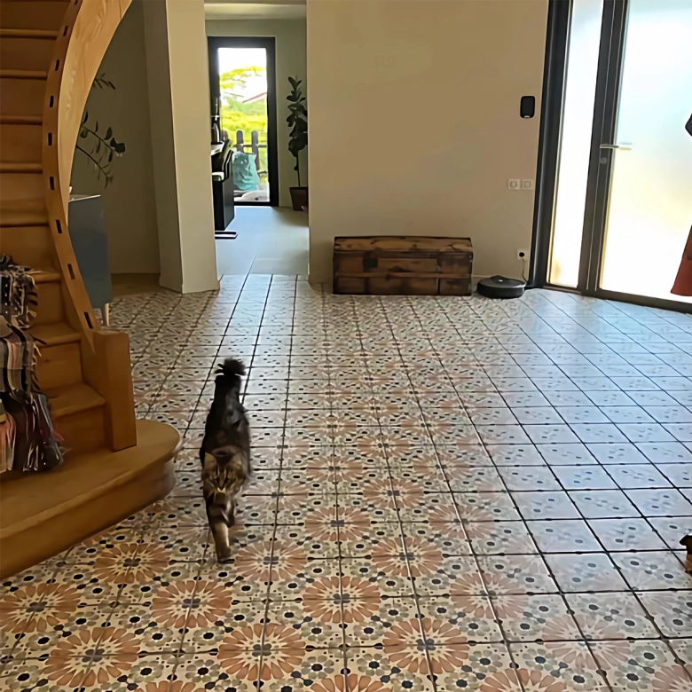 Carrelage sol effet carreaux de ciment Ritz Sylvania20x20 cm