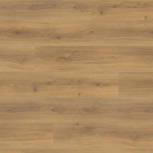 Calgary planche XXL Chêne emilia miel 24,3*220 cm