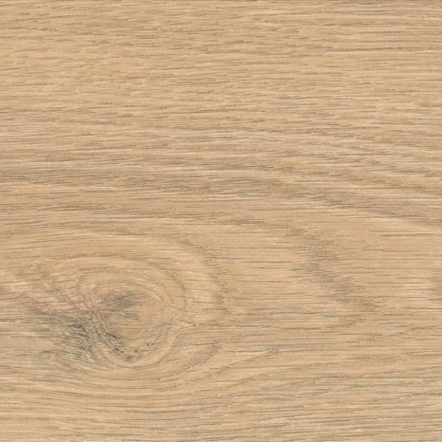 Sol stratifié Calgary planche XXL Chêne Flavia puro 24,3220 cm