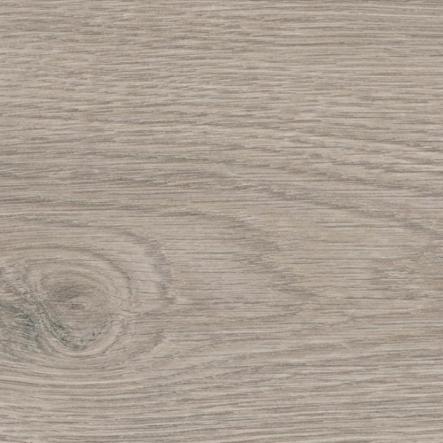 Sol stratifié Eldorado planche large Chêne Flavia gris 19,3128,2 cm