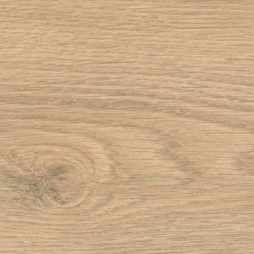 Sol stratifié Eldorado planche large Chêne Flavia puro 19,3128,2 cm