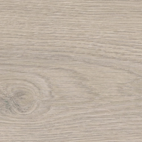 Sol stratifié Master Chêne Flavia gris AQUA 19,3128,2 cm