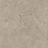 Carrelage effet Terrazzo Venetian taupe 90x90 cm
