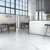 Carrelage sol et mur effet marbre mat Granito white 6060 cm