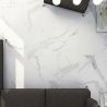 Carrelage sol et mur effet marbre mat Granito white 100x100 cm