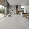 Carrelage sol effet béton Arès gris perle60x120 cm