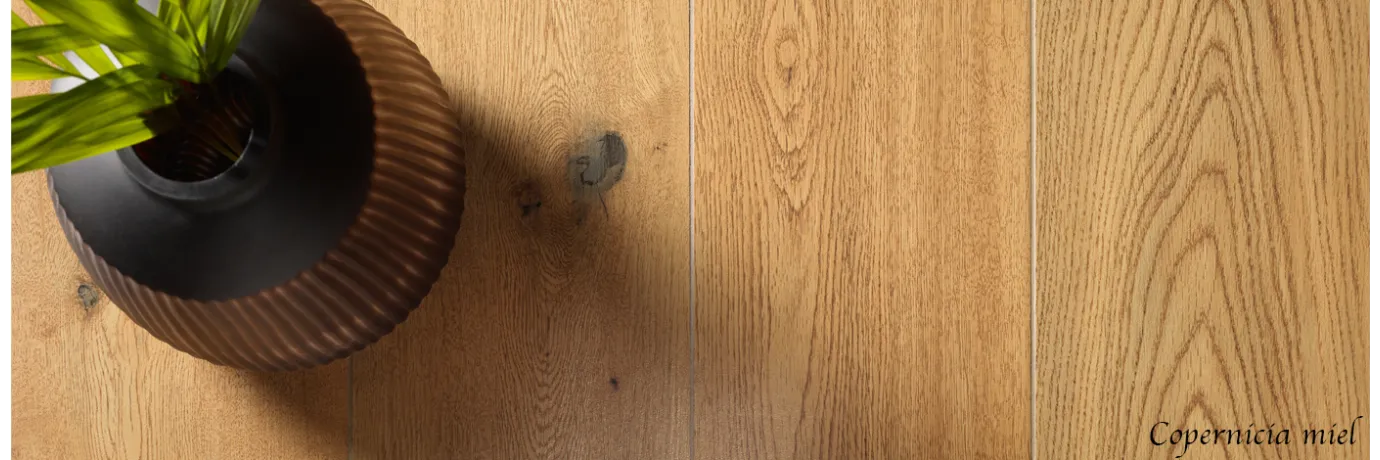 Carrelage intérieur effet bois Copernicia miel pour le sol du l'entrée