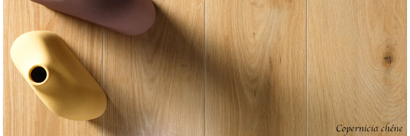  Carrelage intérieur effet bois Copernicia chêne pour le sol de l'entréé